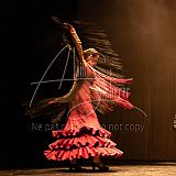 FigurasFlamencas 20240314 022.jpg