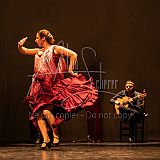 FigurasFlamencas 20240314 023.jpg