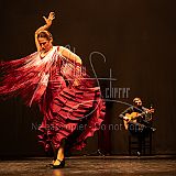 FigurasFlamencas 20240314 024.jpg