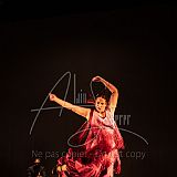 FigurasFlamencas 20240314 025.jpg