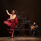 FigurasFlamencas 20240314 026.jpg