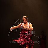 FigurasFlamencas 20240314 027.jpg