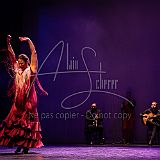 FigurasFlamencas 20240314 028.jpg