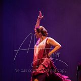 FigurasFlamencas 20240314 030.jpg