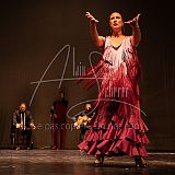 FigurasFlamencas 20240314 034.jpg