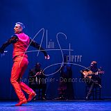 FigurasFlamencas 20240314 047.jpg