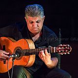 Los Ingredientes_del_Arte_Flamenco_20140809_005 CPR.jpg