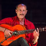 Los Ingredientes_del_Arte_Flamenco_20140809_006 CPR.jpg