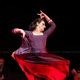 Los Ingredientes_del_Arte_Flamenco_20140809_017 CPR.jpg