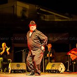 Los Ingredientes_del_Arte_Flamenco_20140809_060 CPR.jpg