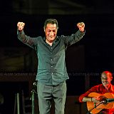 Los Ingredientes_del_Arte_Flamenco_20140809_062 CPR.jpg