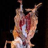 BalletDeAndalucia 20150725_168 CPR.jpg