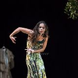 Bosque Ardora_20140918_136 CPR.jpg