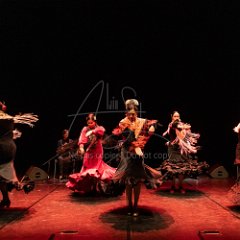 Les Masters de Laura Clemente