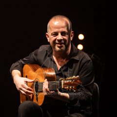 FLAMENCO VIVO