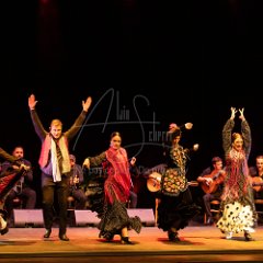 FLAMENCOS DE FRANCIA